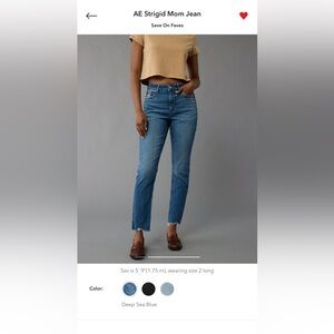 AE Strigid Mom Jean NWOT